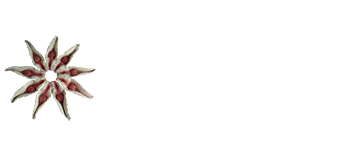 AYURI ART